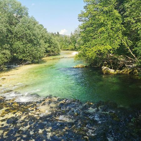Apartma Neva Bohinj Eksteriør bilde