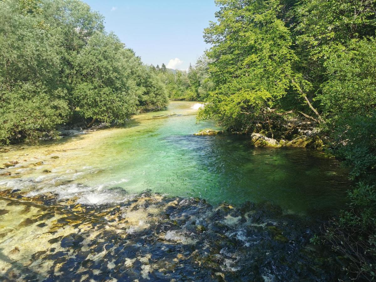 Apartma Neva Leilighet Bohinj Eksteriør bilde