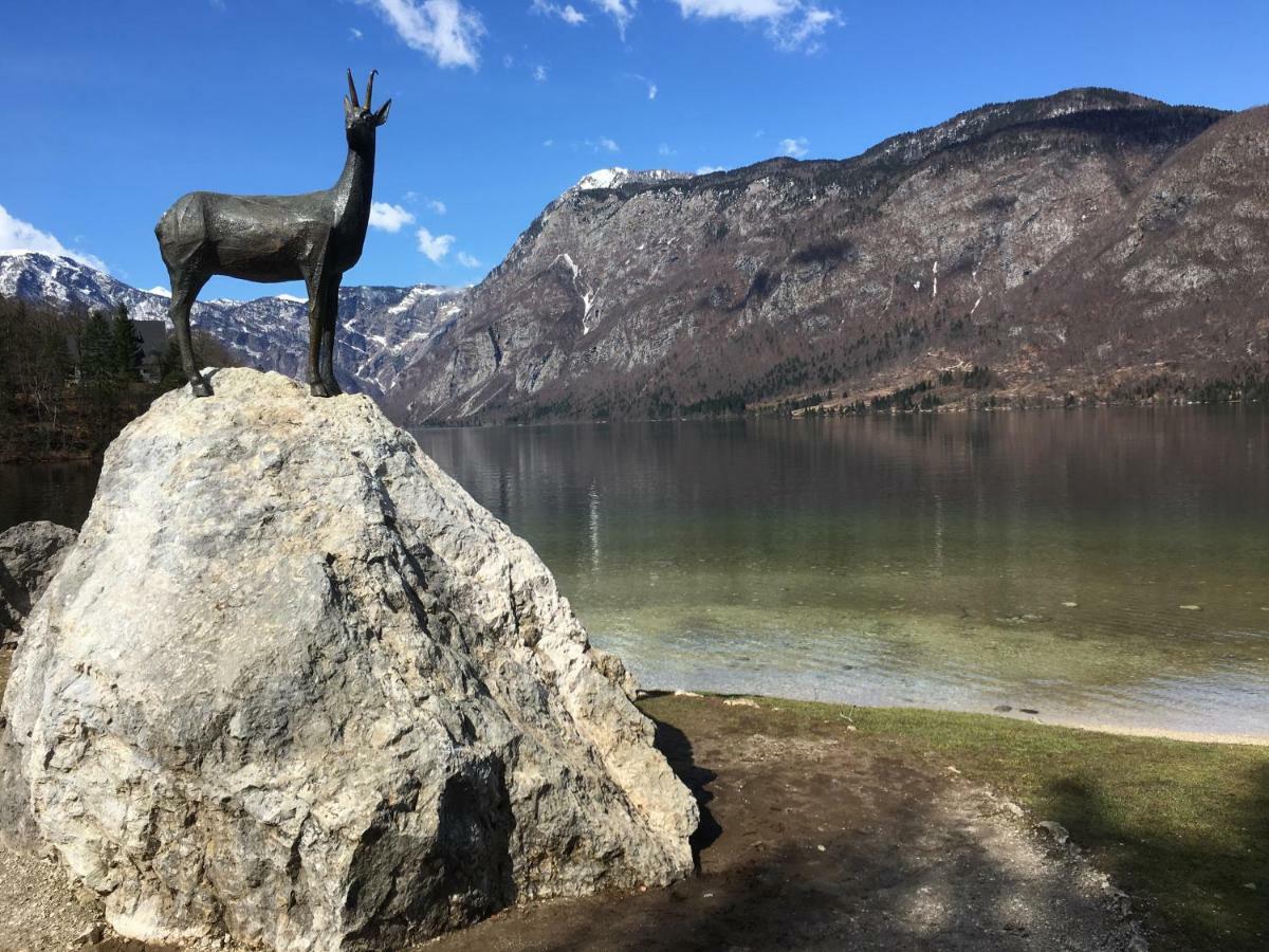 Apartma Neva Bohinj Eksteriør bilde